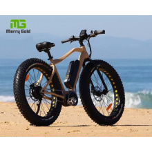 Central Bafang Motor Fat Tire Beach Snow Mountain Electric Bike for Sale